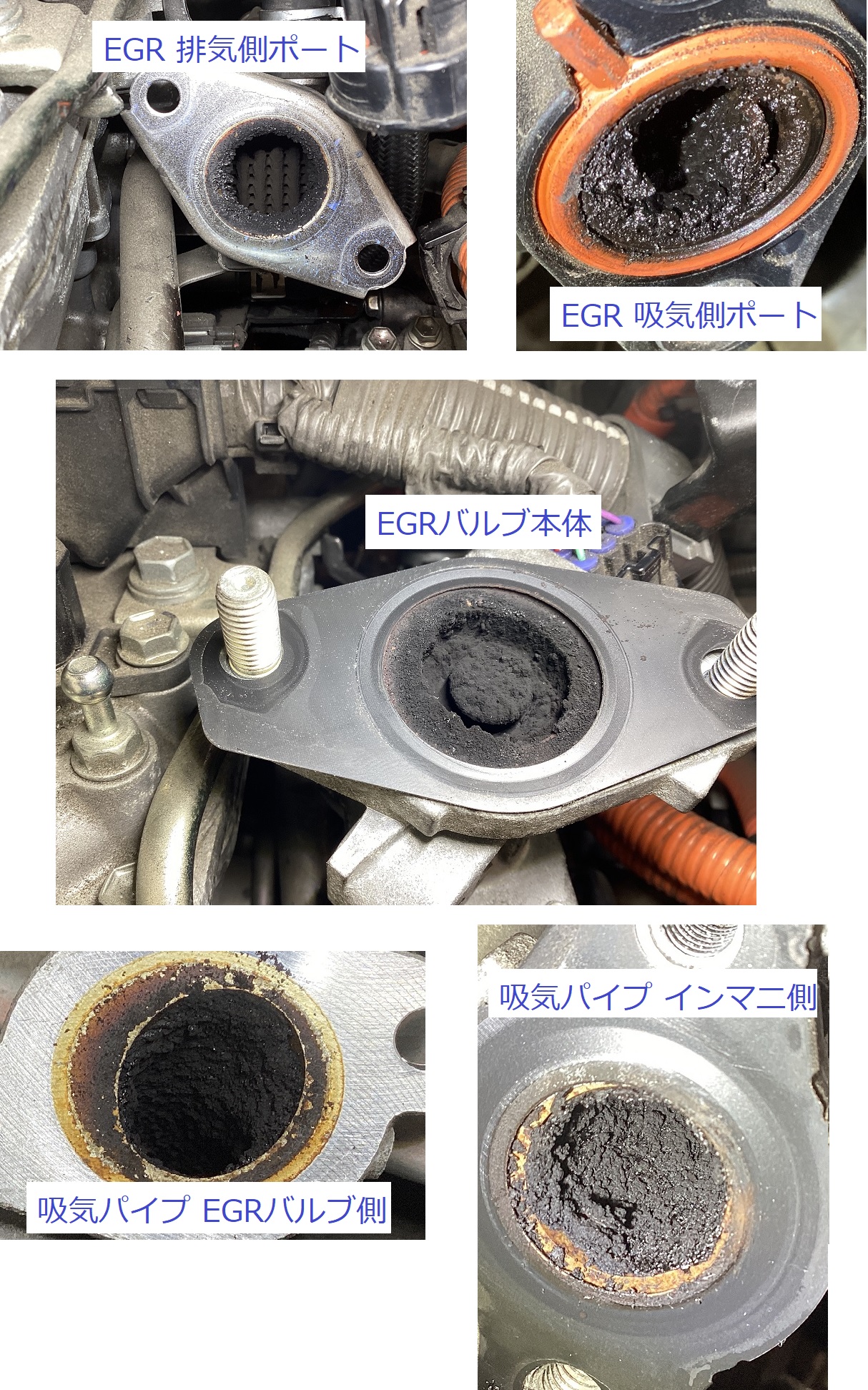 エンジン異音の原因は？ レクサス CT200h ZWA10 EGR詰まり清掃とTEREXSエンジン内部洗浄で超快調なエンジンに蘇り！